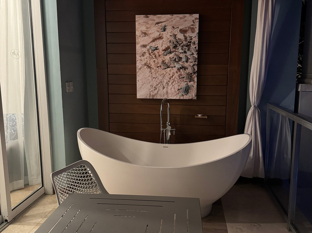 Sandals Royal Barbados主图