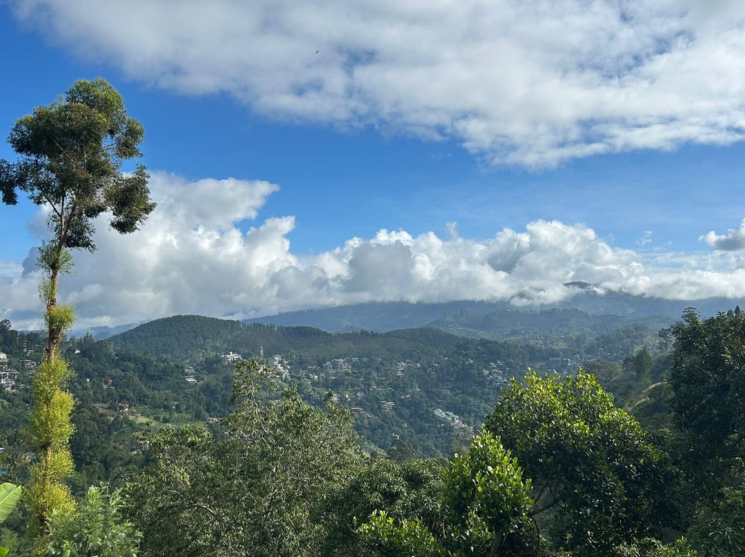 Sam Tours Hambantota-Hambantota必去景点