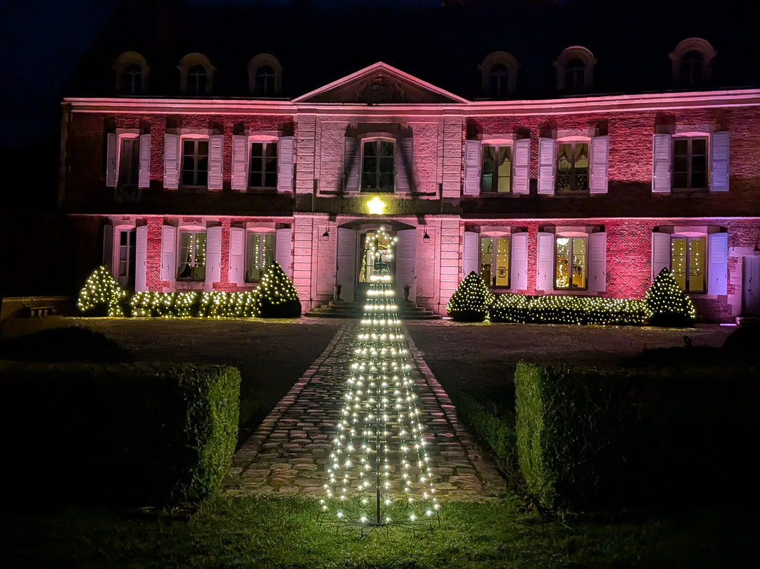 Chateau de Montmirail-Montmirail必去景点