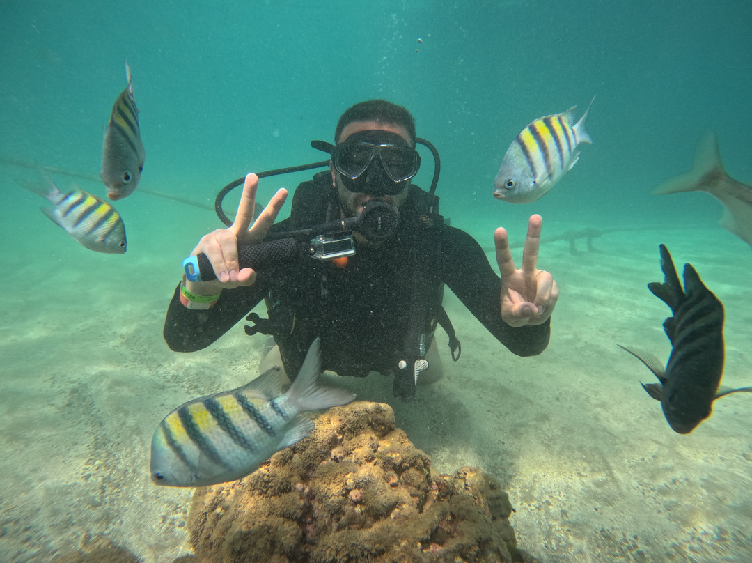 Deep Dive Adventures-嘎林海斯港必去景点