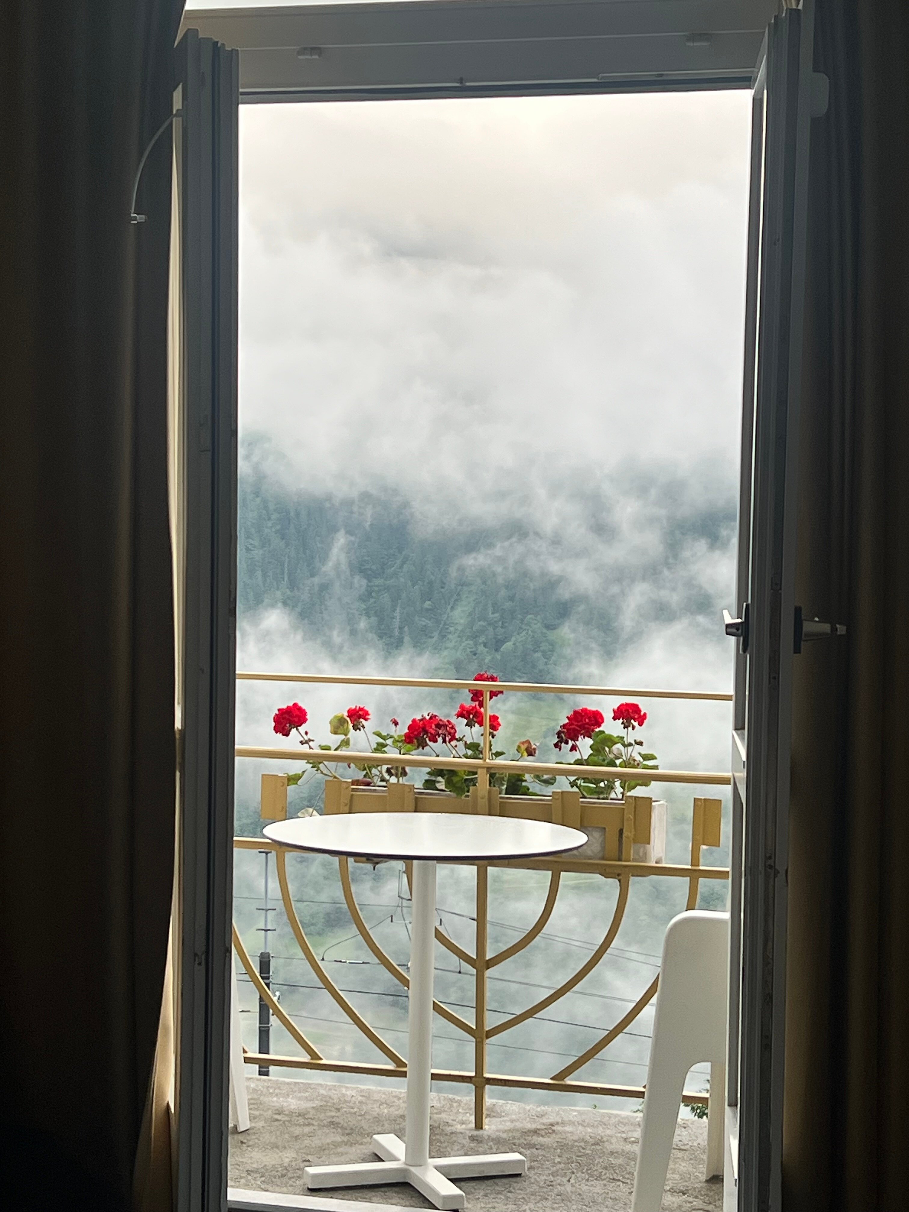 Hotel Victoria-Lauberhorn-酒店景观