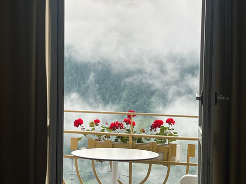 Hotel Victoria-Lauberhorn主图