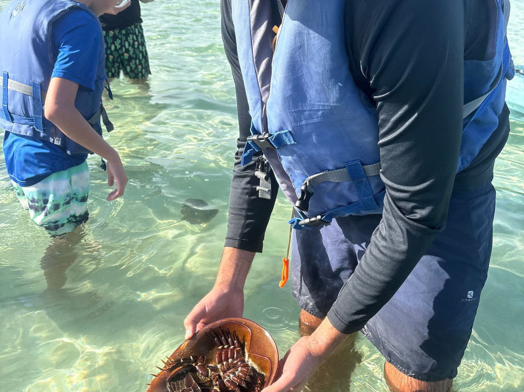 Florida Blue Adventures-布雷登顿必去景点