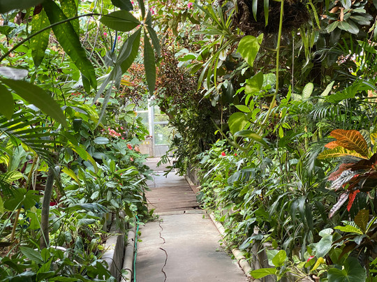 Shimokamo Tropical Garden-南伊豆町必去景点