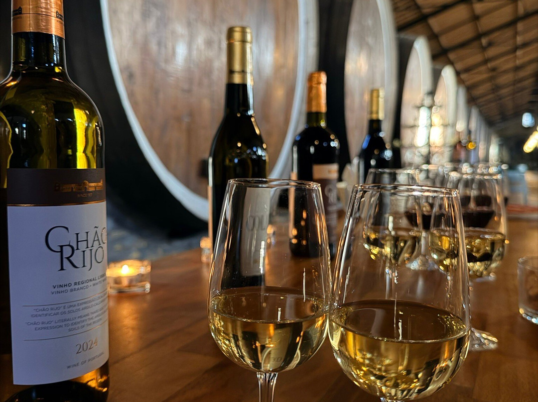 Adega Regional de Colares-科拉雷斯必去景点