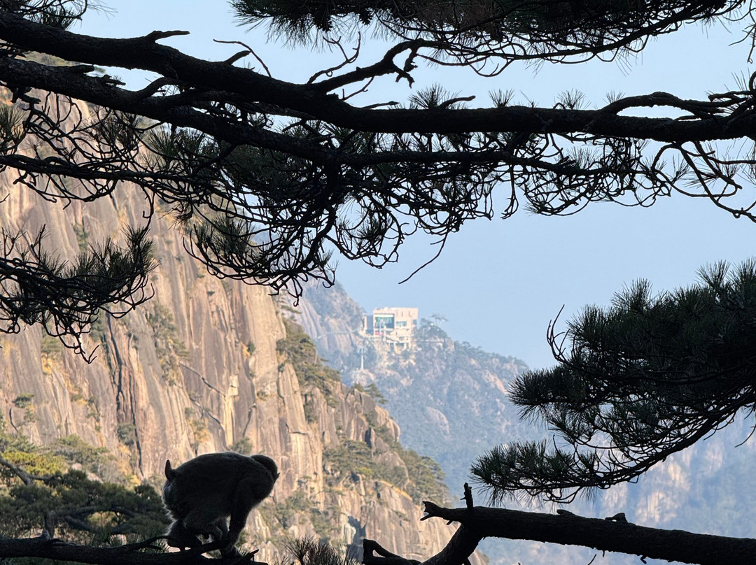 China Highlights-黄山市必去景点