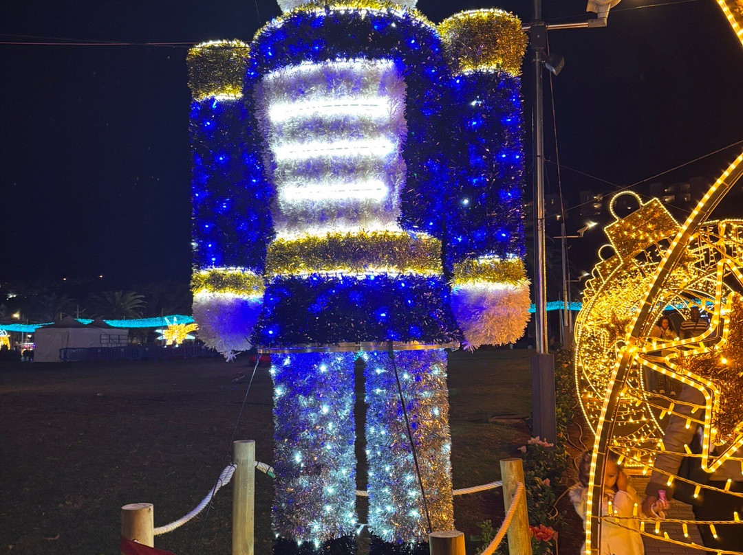 Parque Urbano del Sur-马斯帕洛马斯必去景点