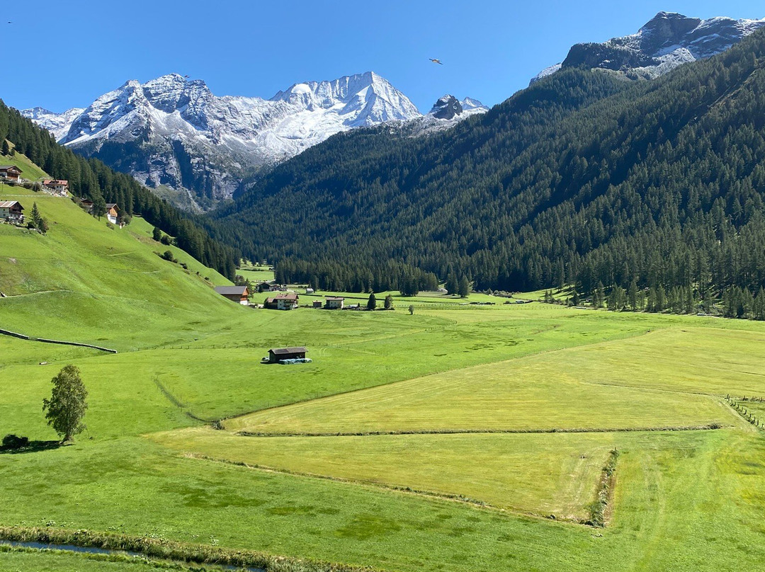 Natur Idyll Hochgall主图