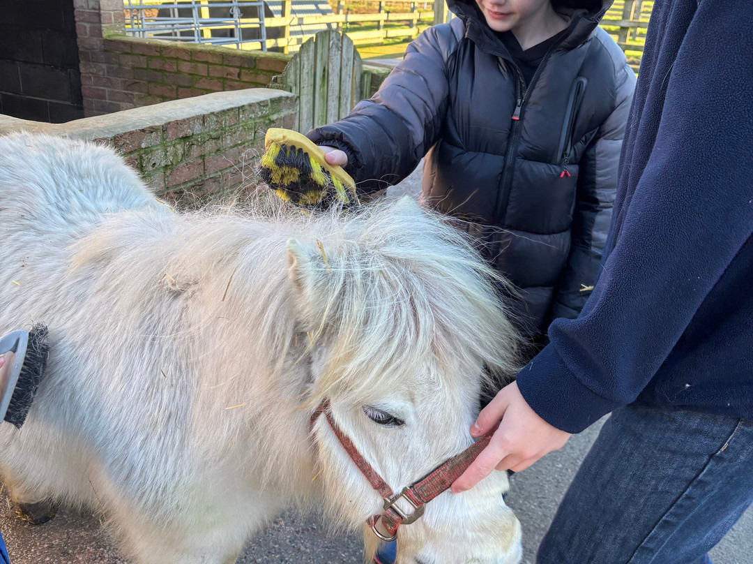Big Sheep & Little Cow-Bedale必去景点