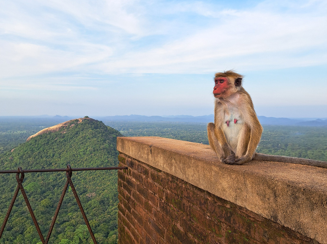 Chandis SriLankan Tours-康提必去景点