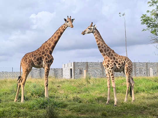CTC Conservation Center-Mpigi必去景点