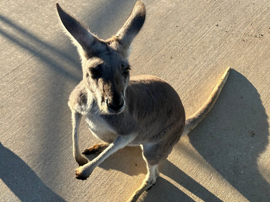 Blue Hills Ranch主图