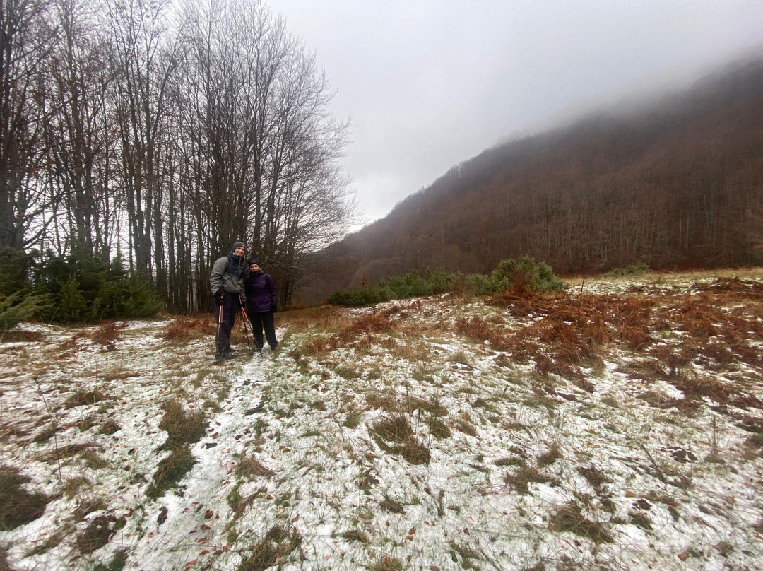 Wilderness-Rotonda必去景点