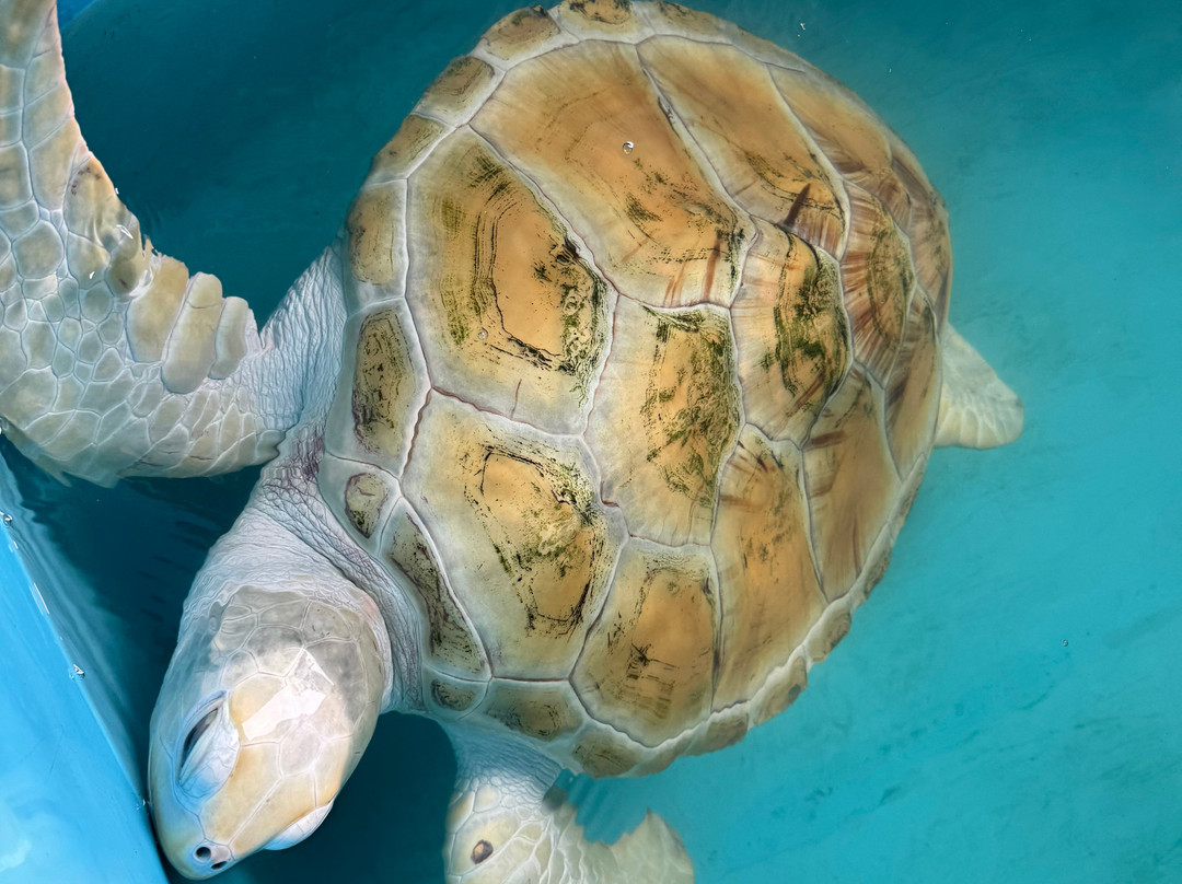 Sri Lanka Lasantha tours-Gampaha必去景点