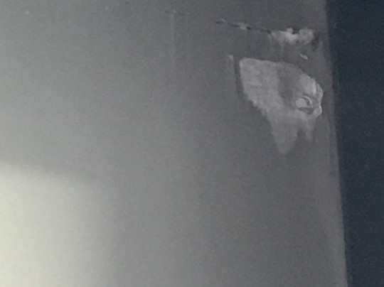 巴勒赫卡梅伦豪斯德维尔酒店主图