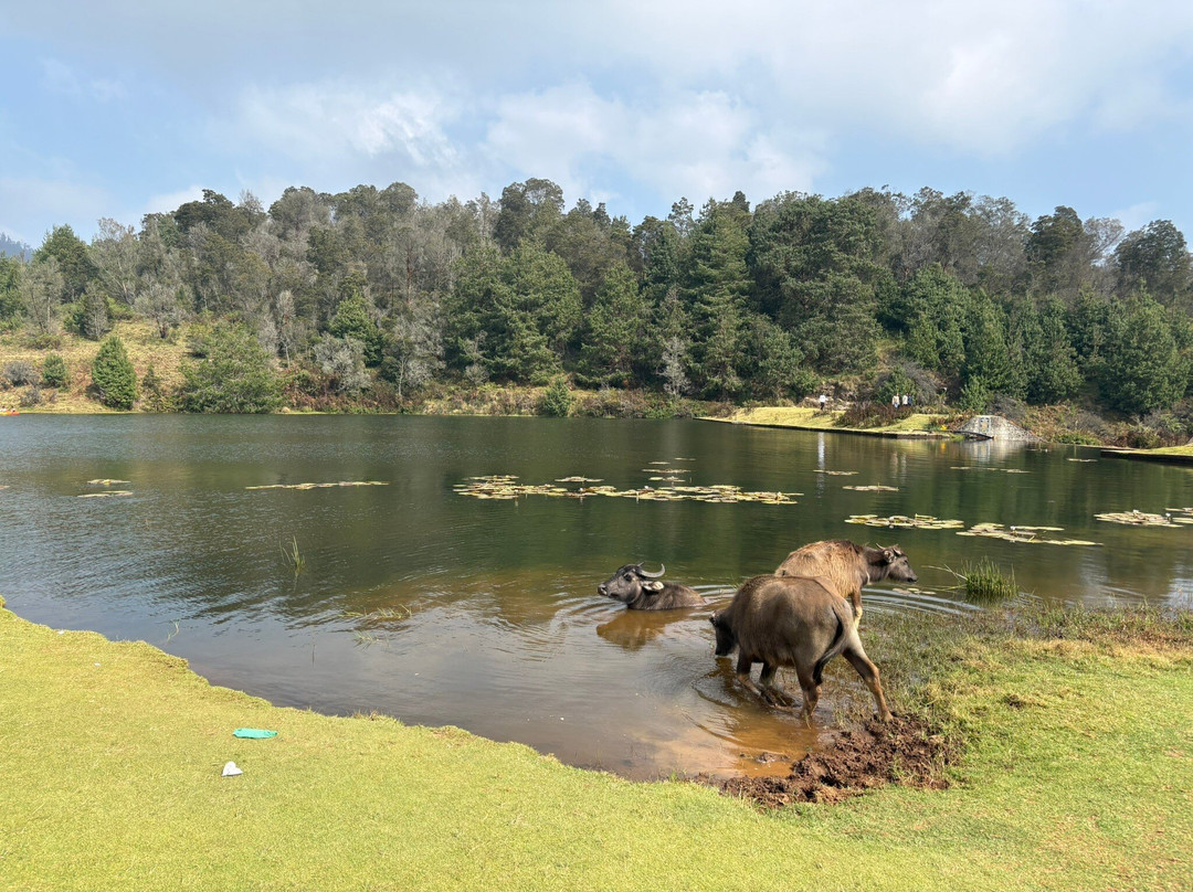 Mannavanur Lake-科代卡纳尔必去景点