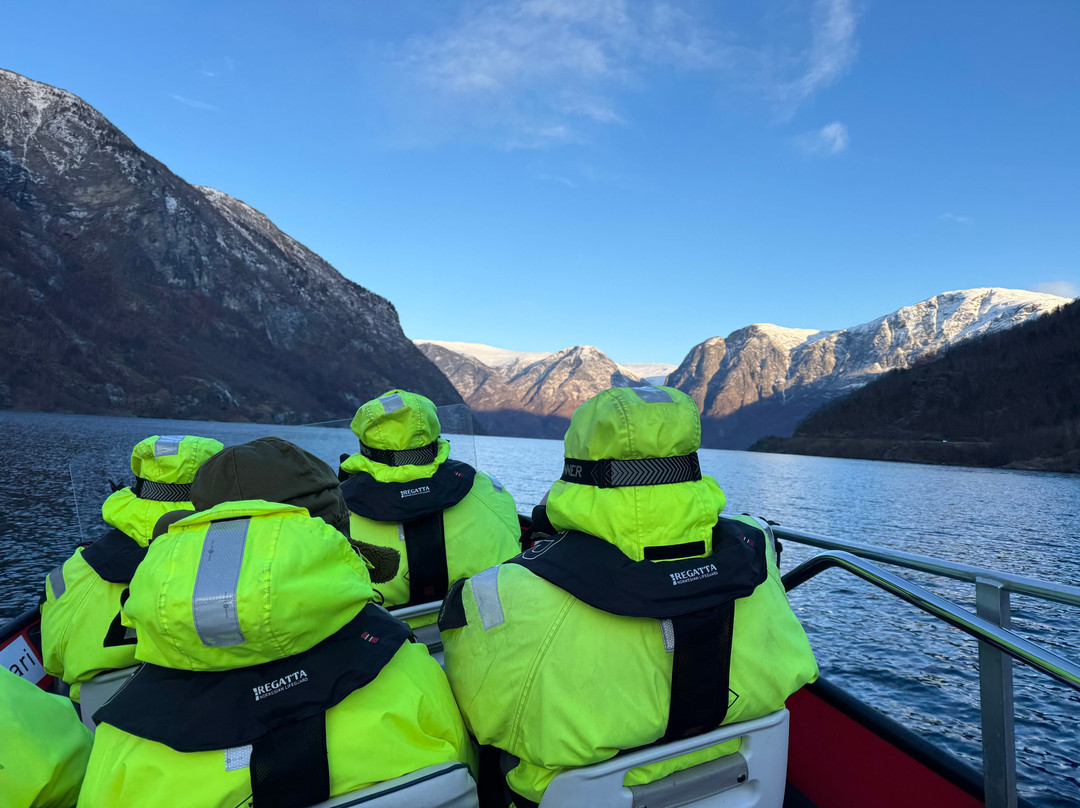 FjordSafari-弗洛姆必去景点