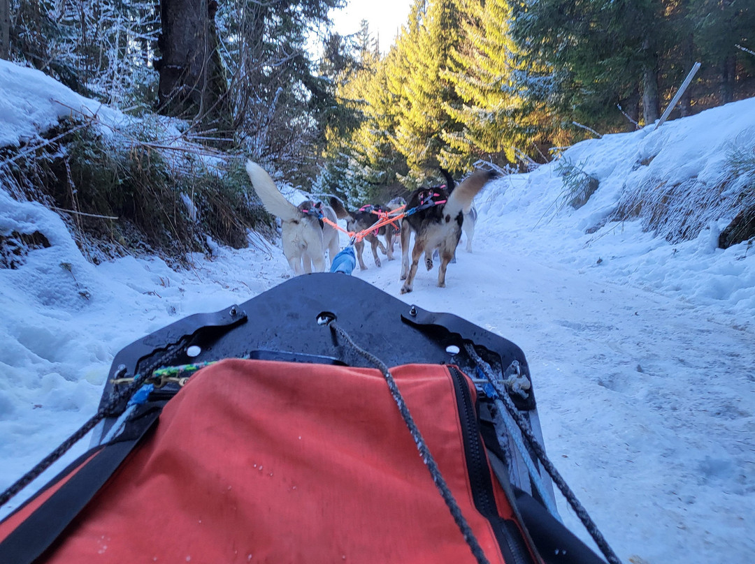 Annecy Aventure-安纳西必去景点