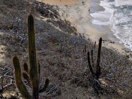 Praia Malhada-杰里科科拉必去景点