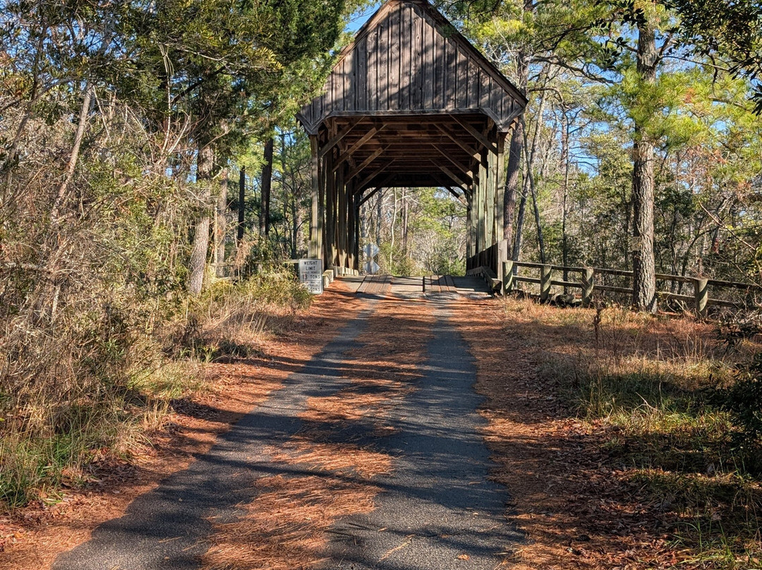 Kitty Hawk Woods Reserve-Kitty Hawk必去景点