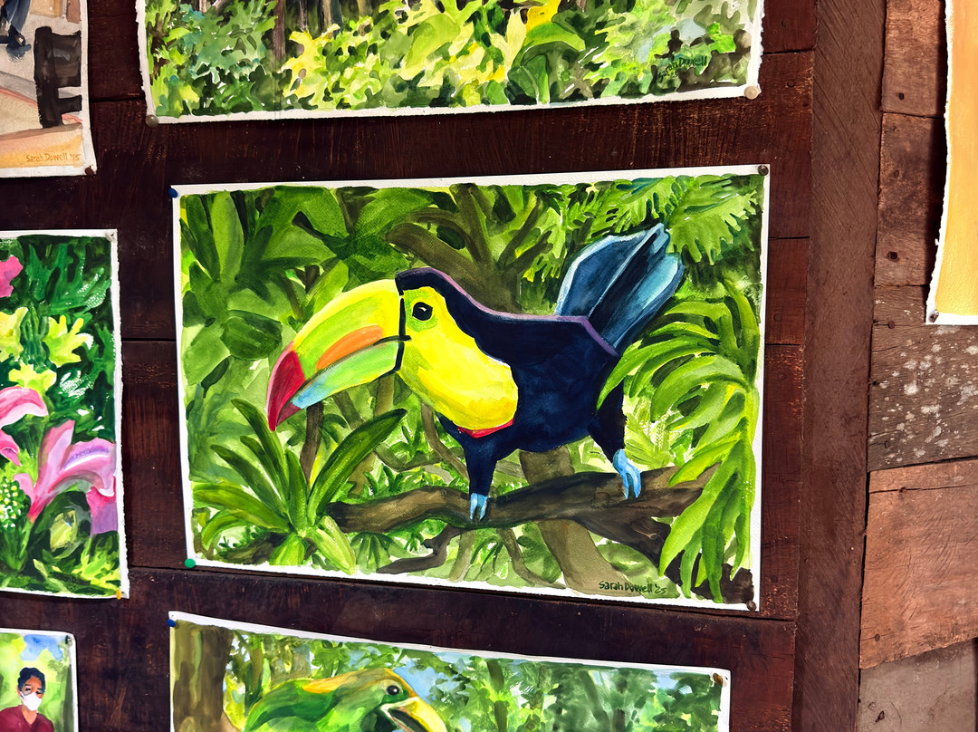 Sarah's Gallery-蒙特沃德必去景点