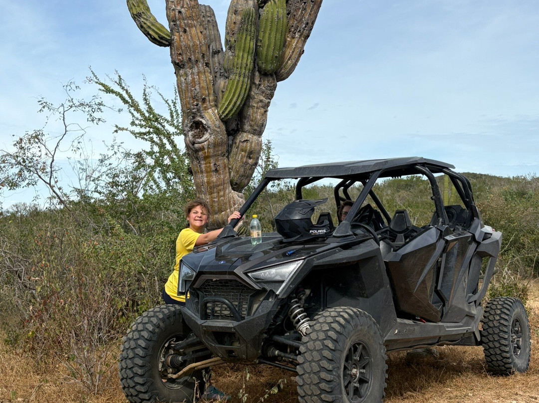 Baja Rock Pirates Backcountry Adventures-托多斯桑托斯必去景点