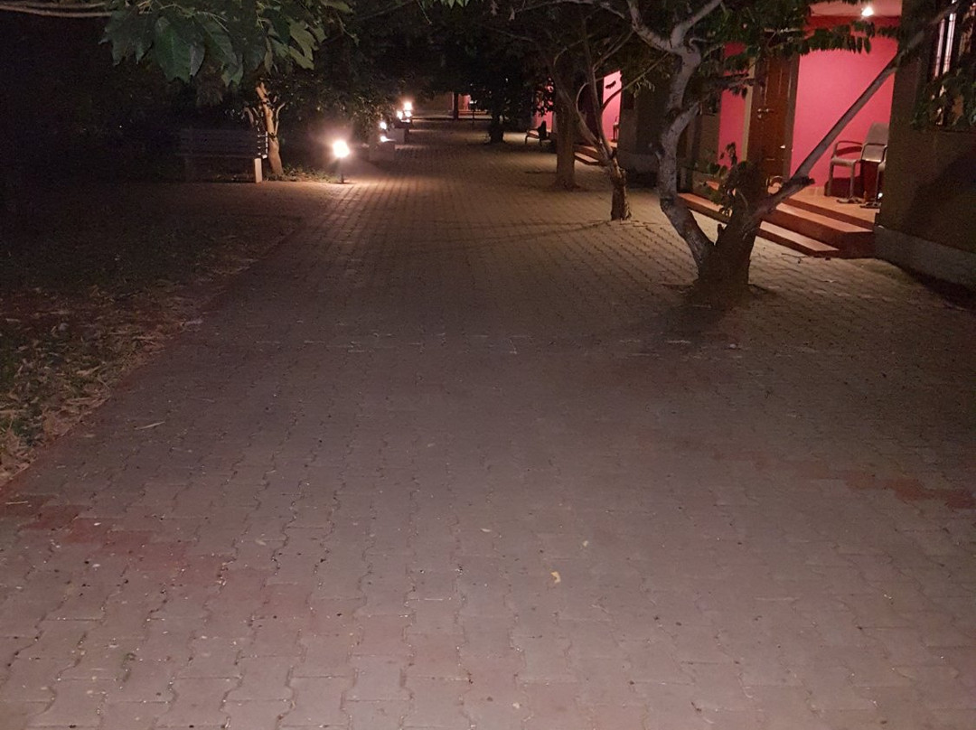 Mc Resort Bandipura主图