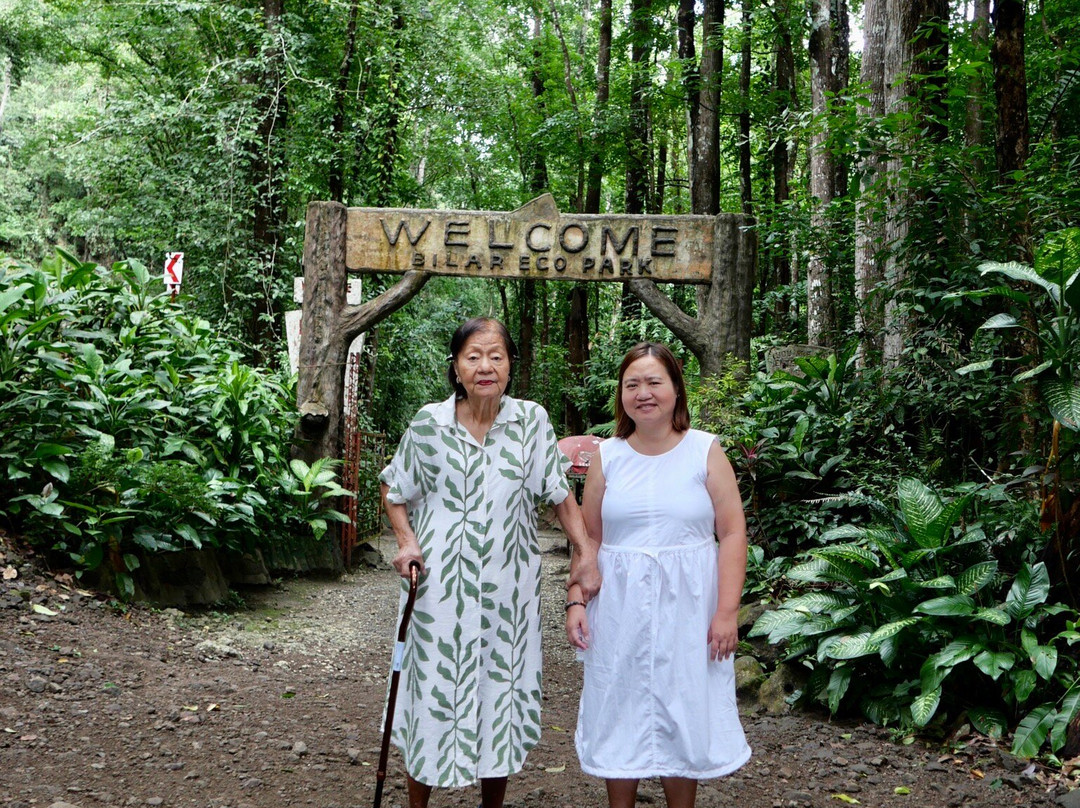 Bilar Man-Made Mahogany forest-Bilar必去景点