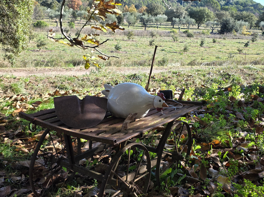 Campagne De La Source St Martin主图