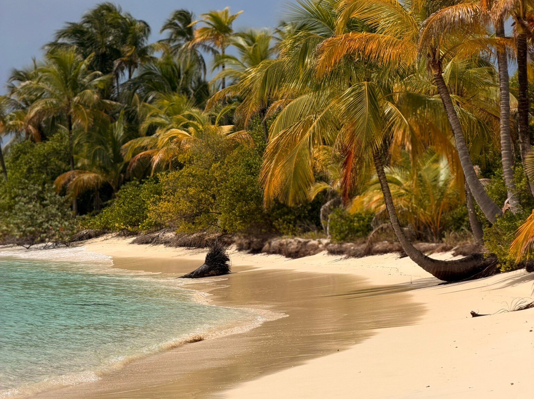 Flying Ginny Catamaran Charter-埃尔波韦尼尔必去景点