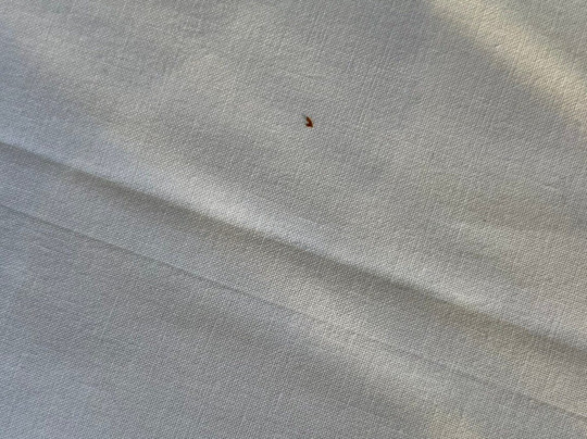 Club Hotel Regina e Fassa主图