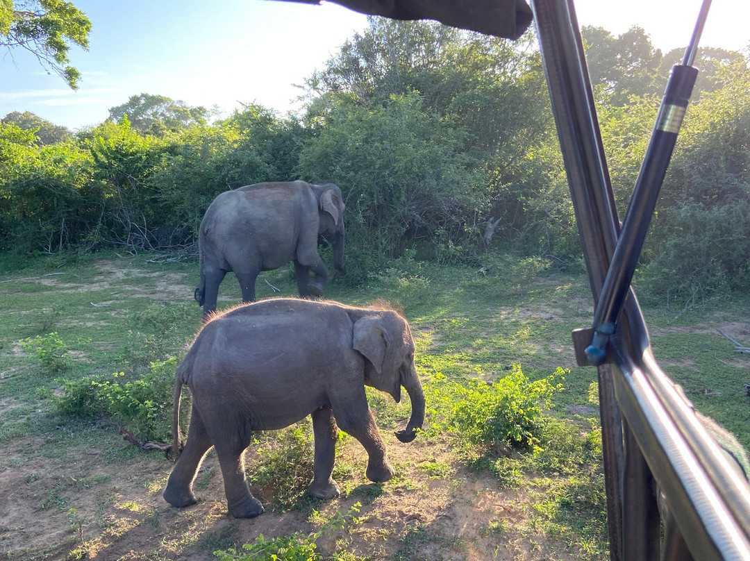 Yala Lahiru Safari-蒂瑟默哈拉默必去景点