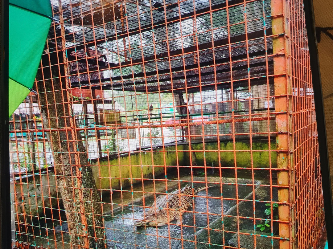 Xzootic Animal Park-Loay必去景点