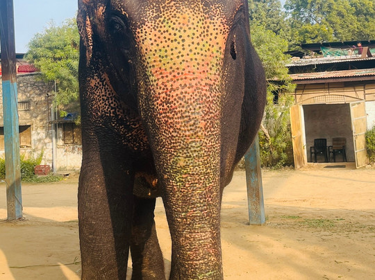 Elefun-斋蒲尔必去景点