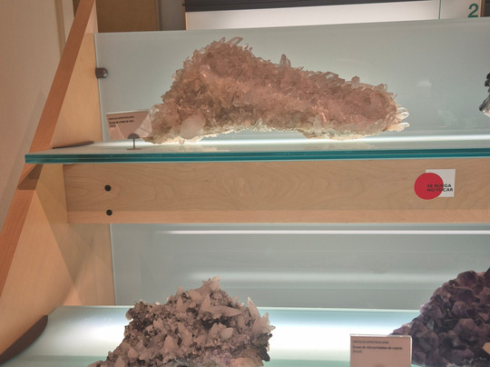 Museo de Naturaleza y Arqueologia-圣克鲁斯-德特内里费必去景点