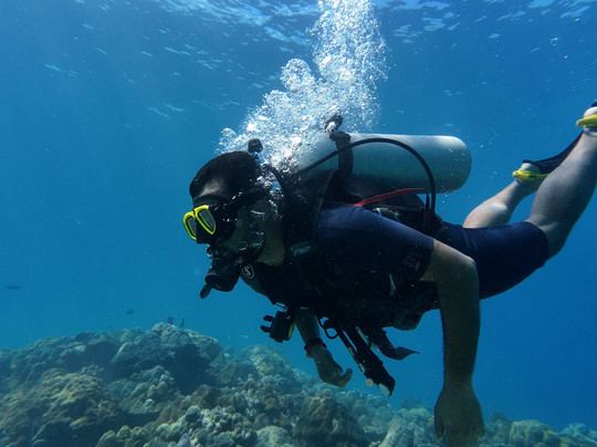 Turquoise Dream-Neil Island必去景点