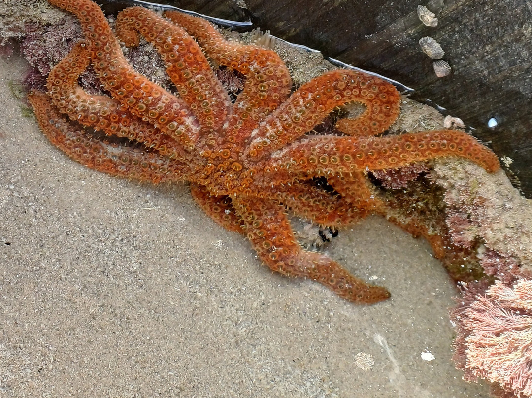 Rocky Cape Retreat主图