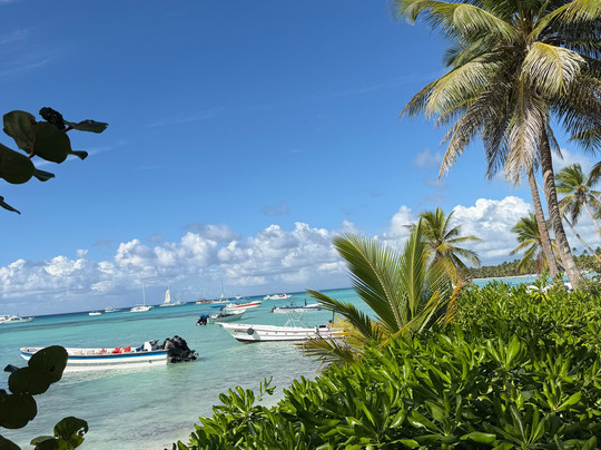 Muy Divertido Excursiones-Dominicus必去景点