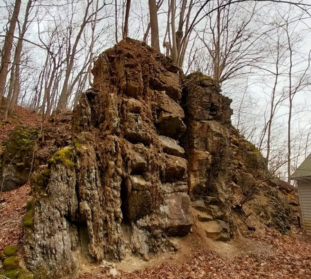 Coral Caverns-Manns Choice必去景点