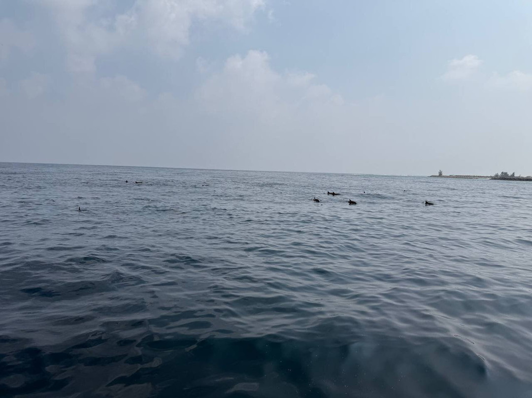 Euro-Divers Kurumba-库鲁巴椰子岛必去景点