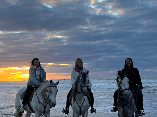 Cheval Essaouira-索维拉必去景点