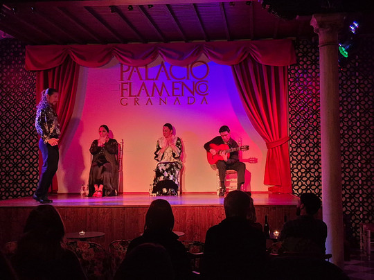 Palacio Flamenco Granada-格拉纳达必去景点