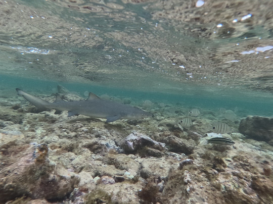 Explore Cape Verde-圣塔玛丽亚必去景点