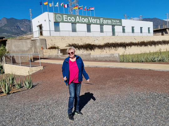 Finca Canarias Aloe Vera-Guimar必去景点