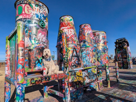 Slug Bug Ranch-阿马里洛必去景点