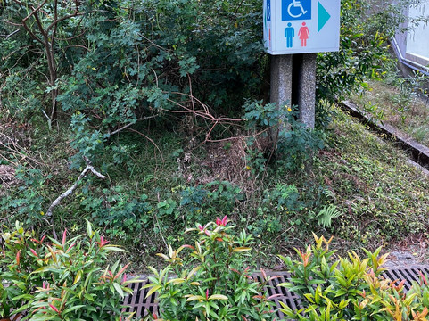 Ngong Ping Village-Gunung Bunder 2必去景点