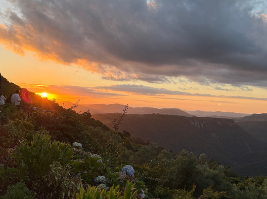 Parque Olivas de Gramado-格拉玛多必去景点
