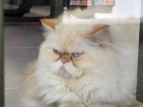 True Colombia Travel-麦德林必去景点