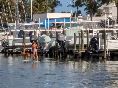 Good Natured River Tours-墨尔本必去景点