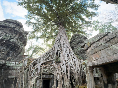 Best Siem Reap Tuk Tuk-暹粒必去景点